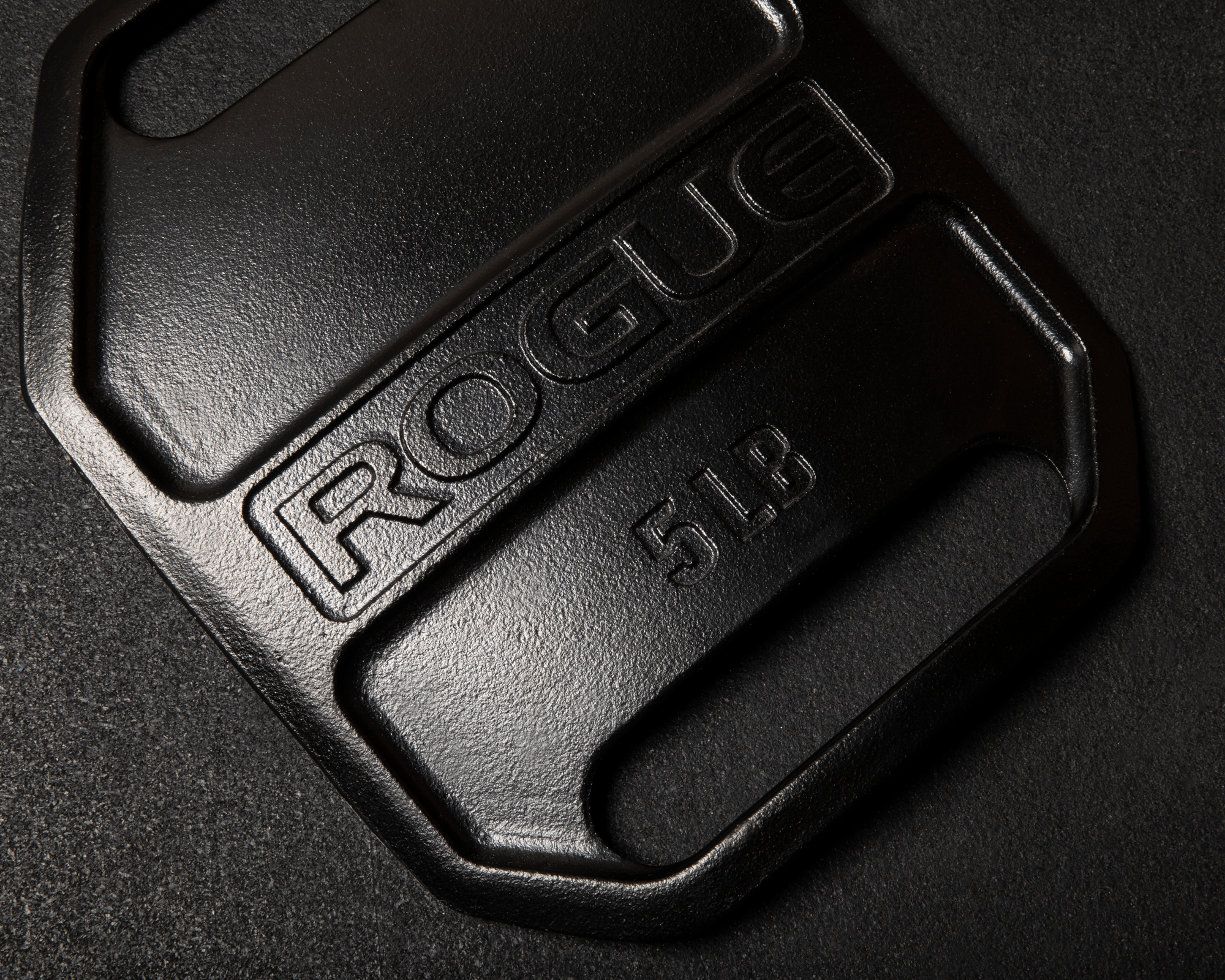 Rogue Echo Weight Vest Plates