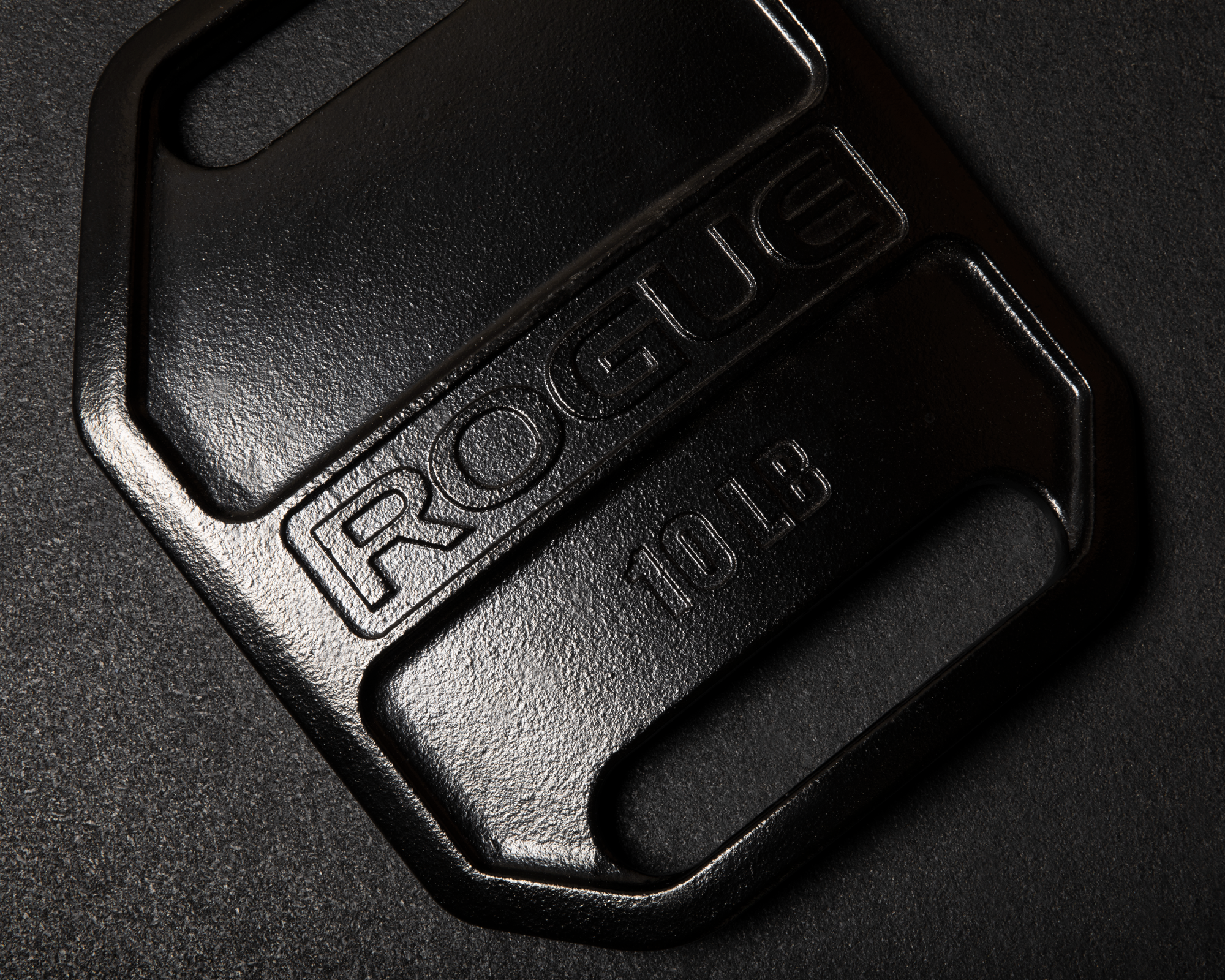 Rogue Echo Weight Vest Plates