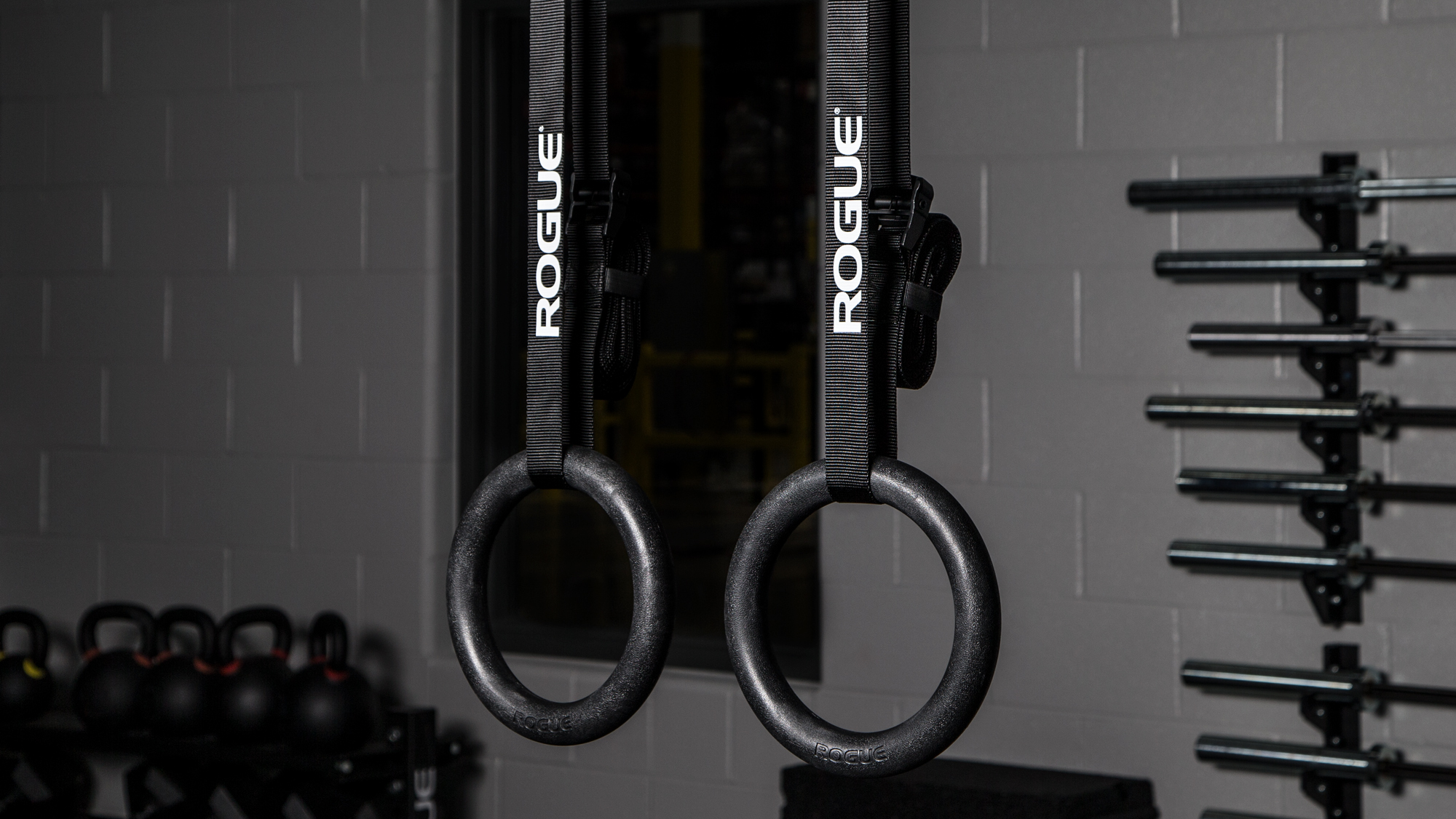 Rogue Echo Rings