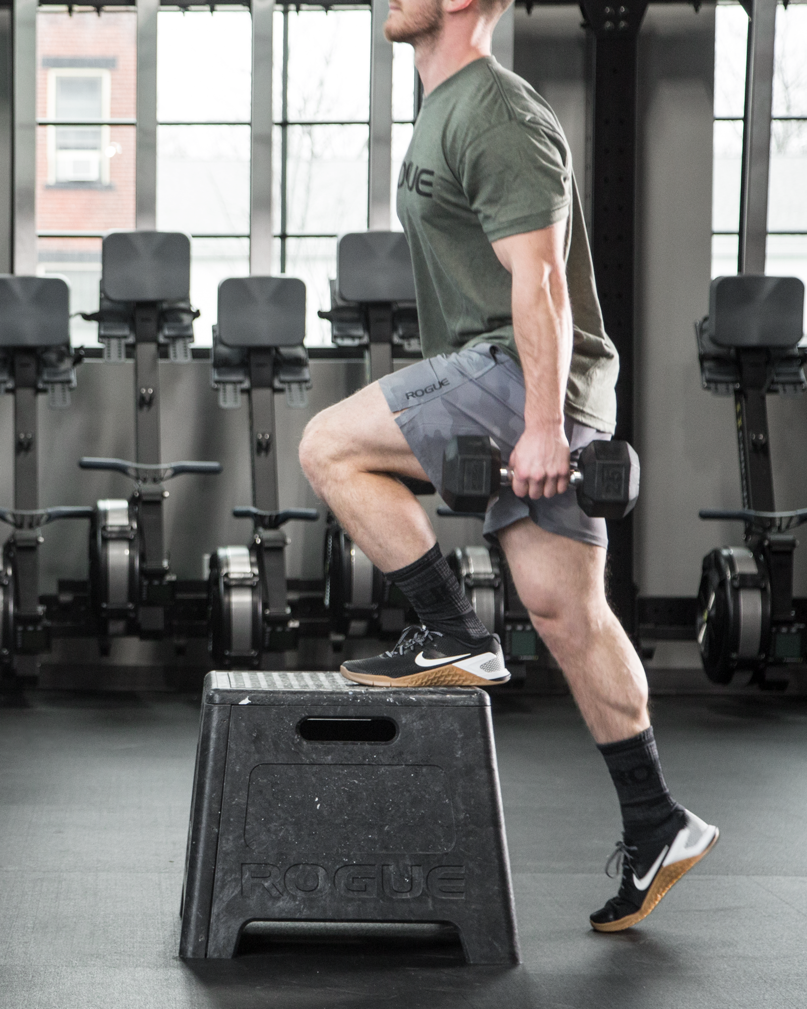 Rogue Resin Plyo Box