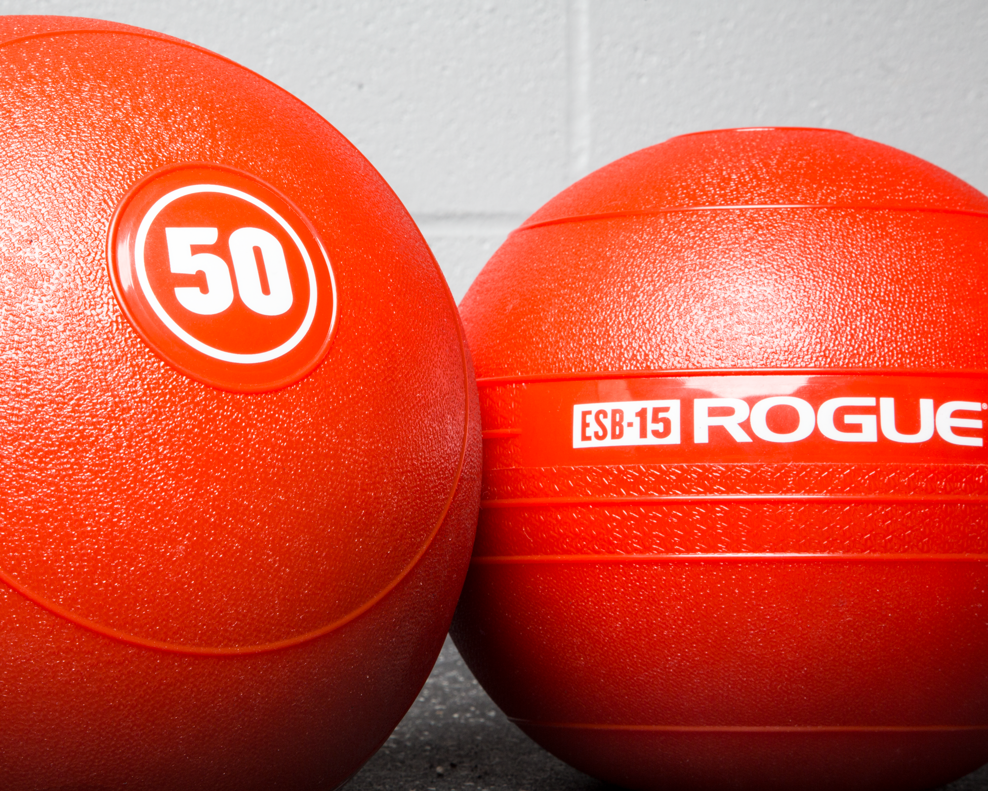 Rogue Echo Slam Balls