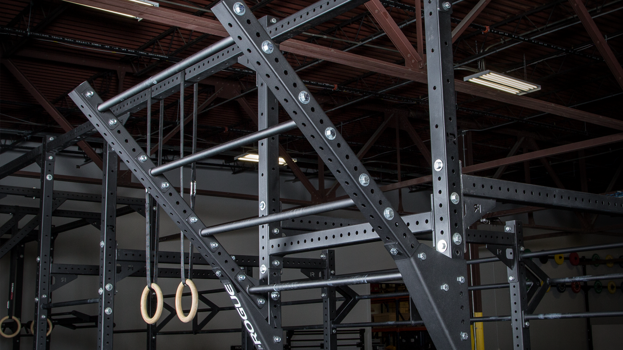 Rogue Monster Lite Flying Pull-up Bar