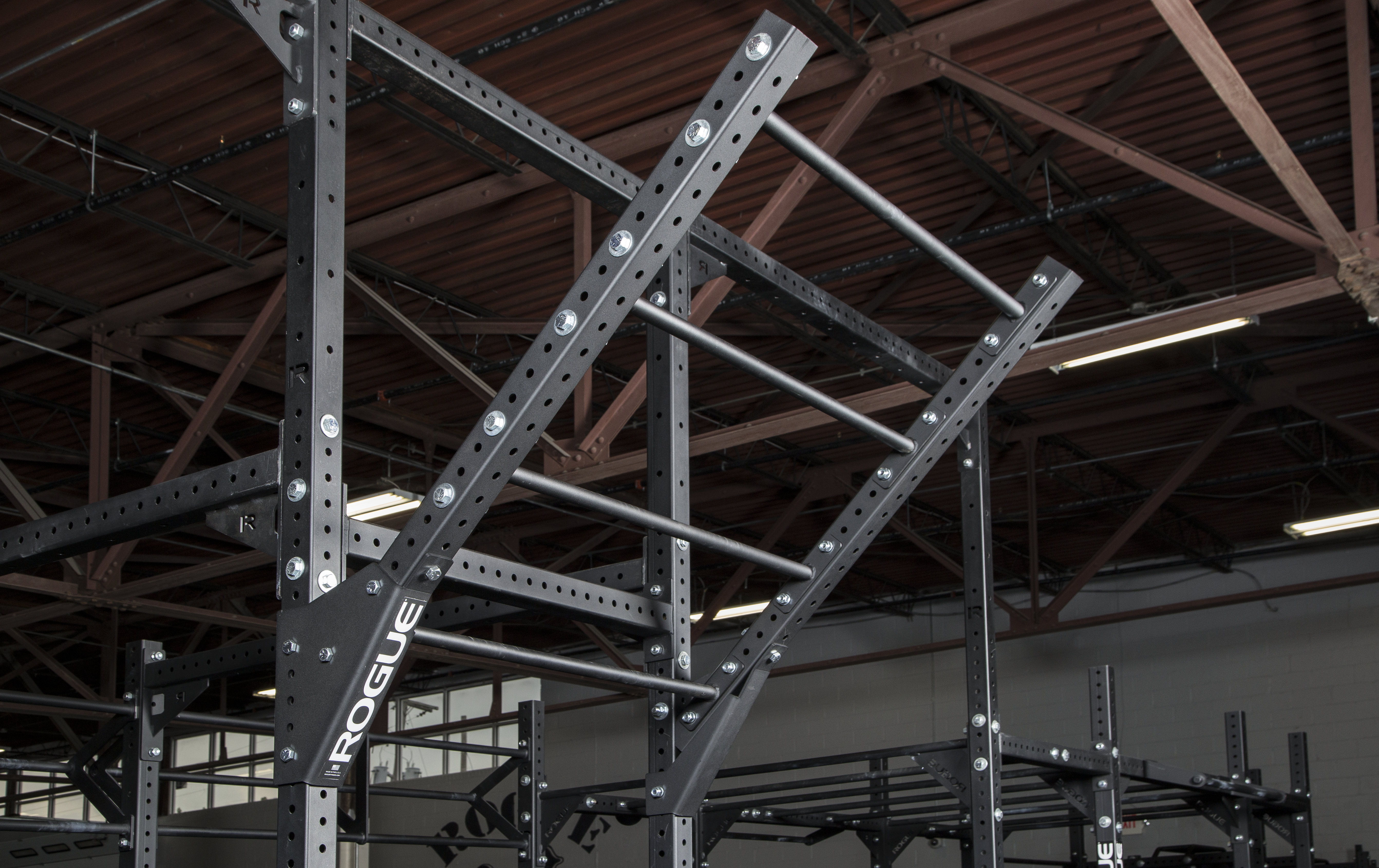 Rogue Monster Lite Flying Pull-up Bar