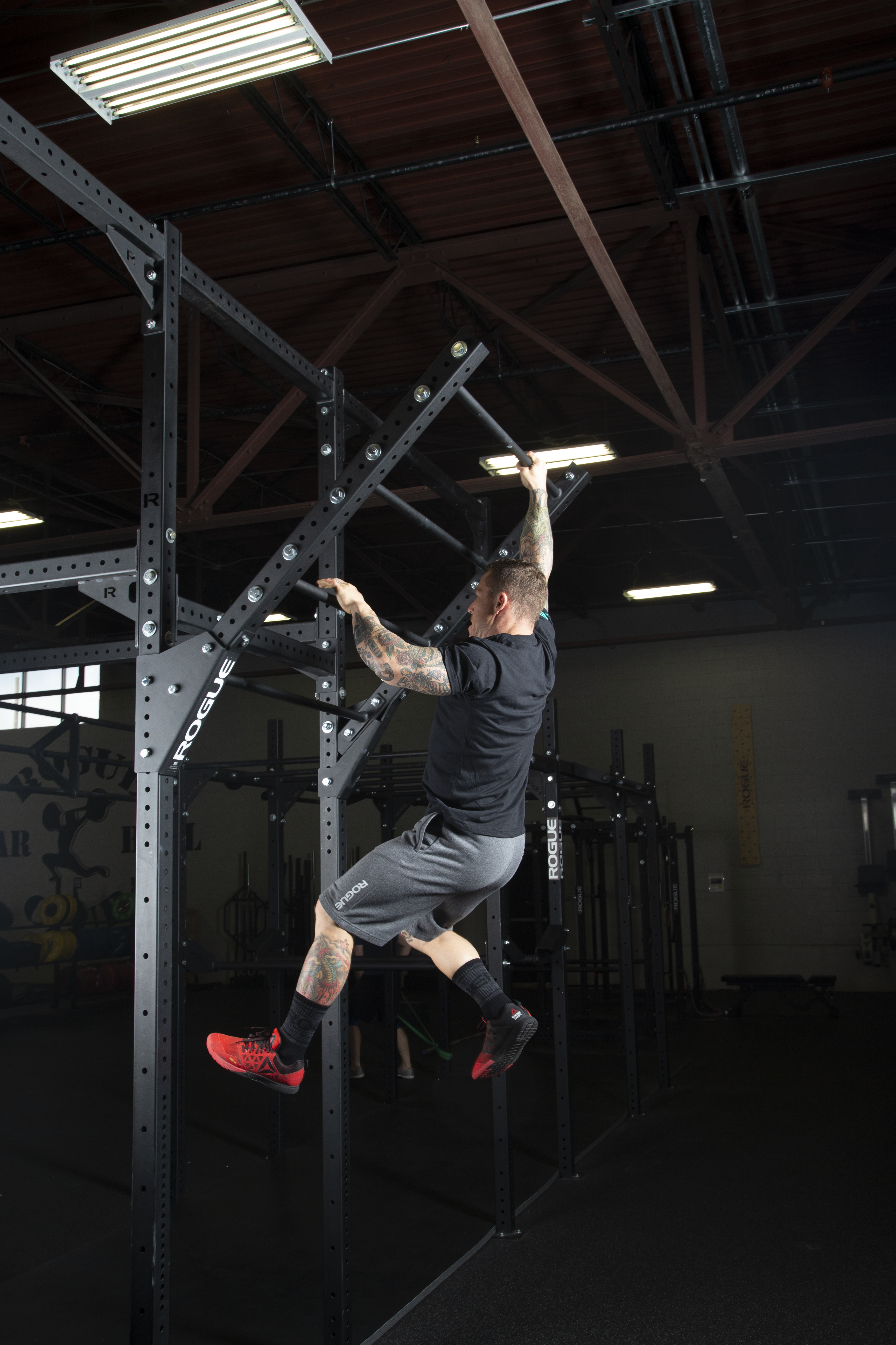 Rogue Monster Lite Flying Pull-up Bar