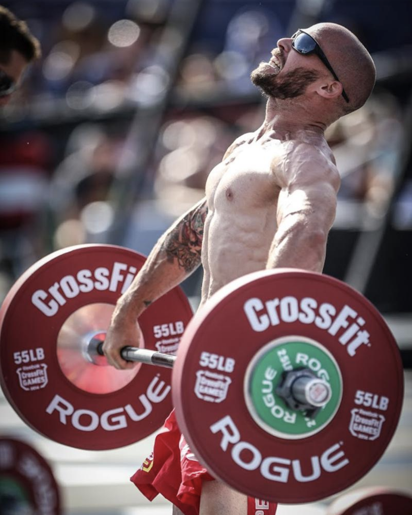 Rogue SPEAL Pull-up Bar 2.0