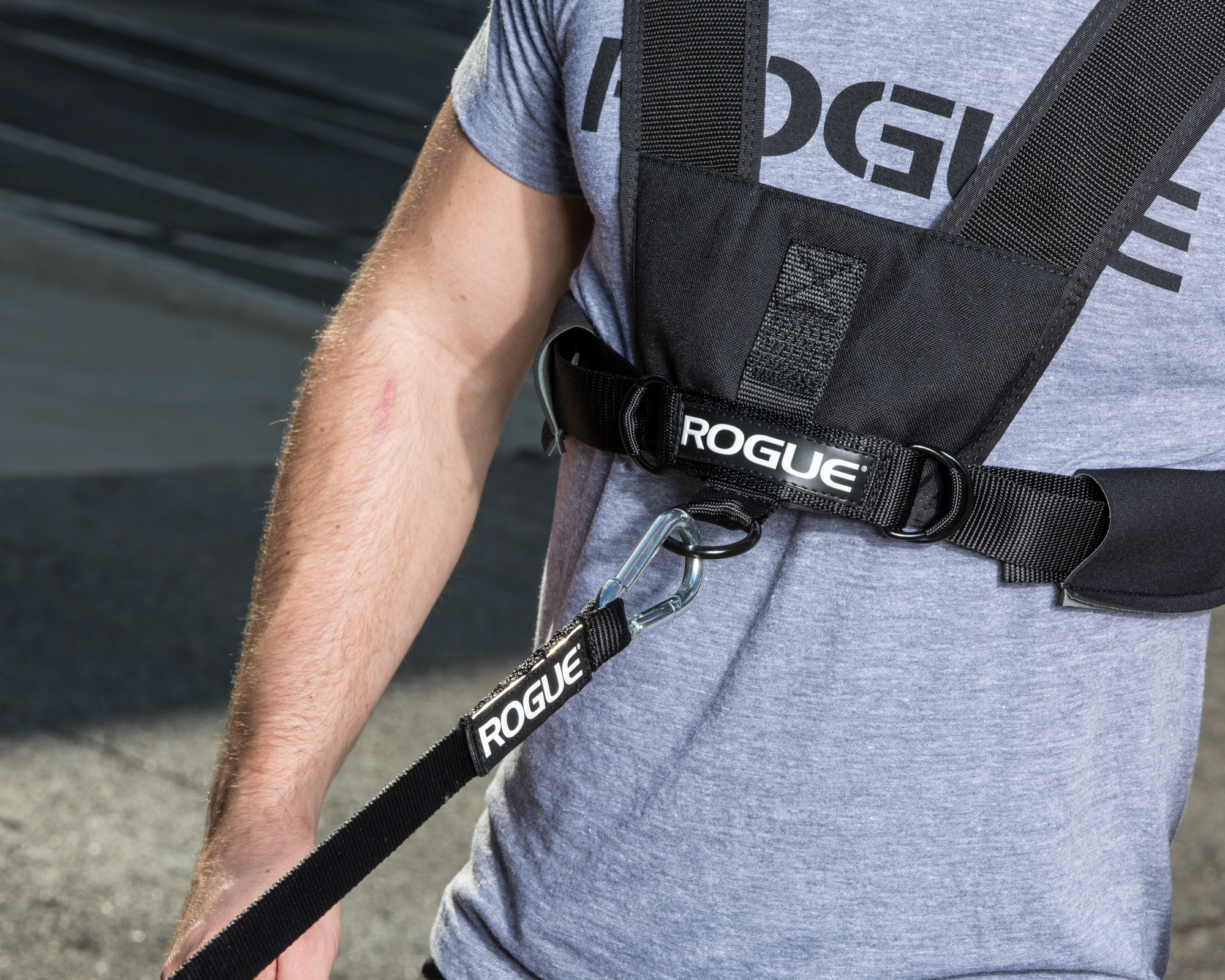 Rogue Sled Harness