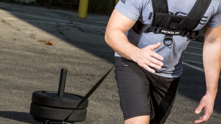 Rogue Fitness Sled Harness Model reference · options at Rogue