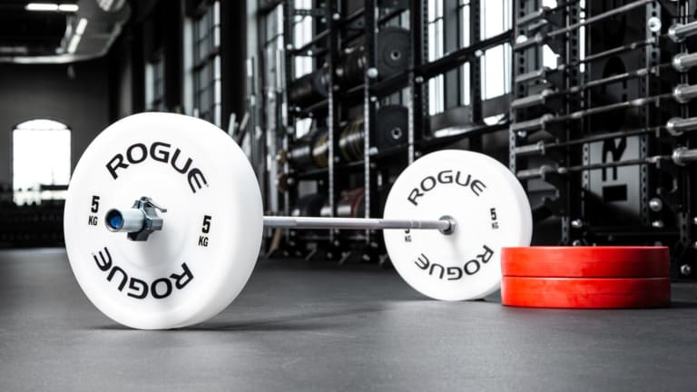 Rogue Fitness Technique Plates Model reference · options at Rogue