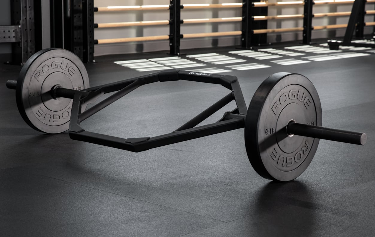 Rogue fitness echo bar online