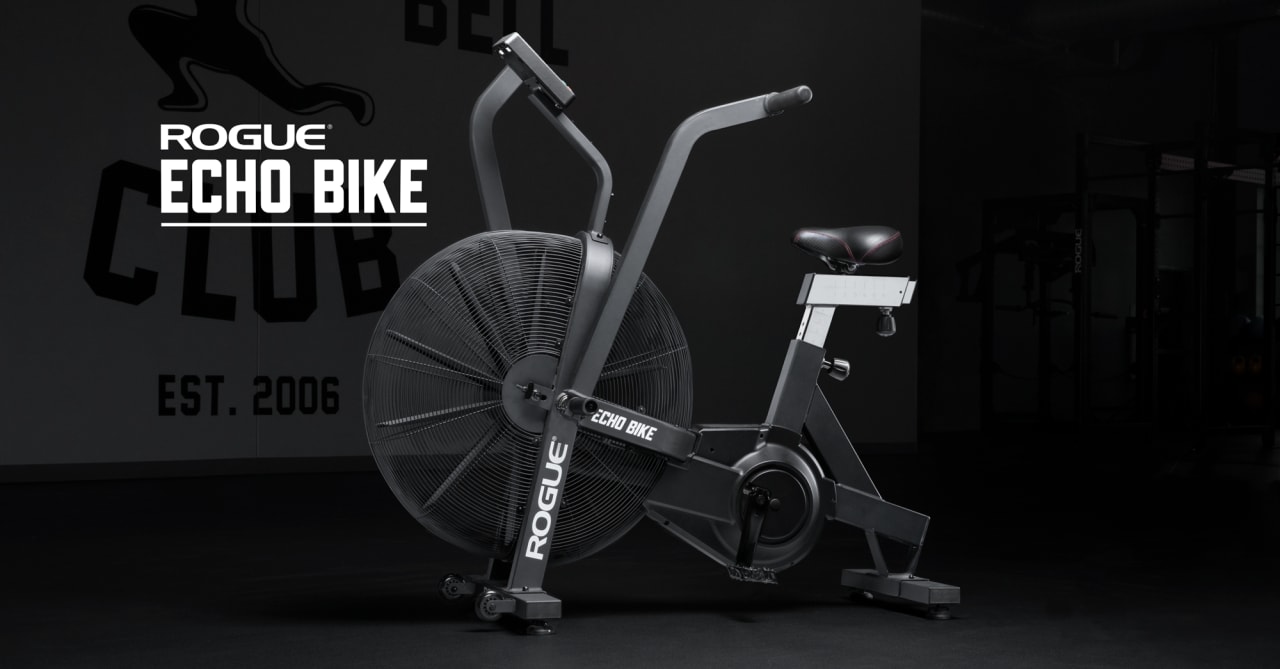 Rogue Echo Bike