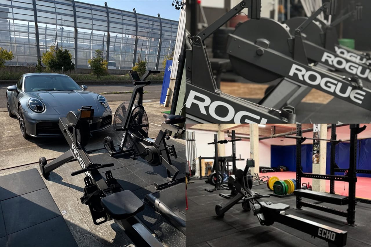 Rogue Echo Rower