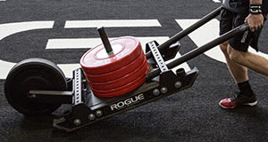 Rogue power 2025 sled