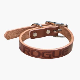 Rogue Leather Dog Leash