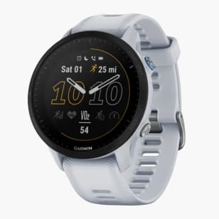 Garmin Smartwatch (GEN2) GPS - Epix Sapphire - blanc - Titane