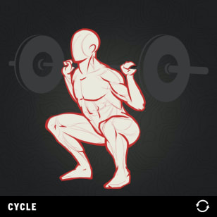 Varied Not Random - Back Squat Capacity