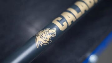 Custom Logos and Text on Shaft