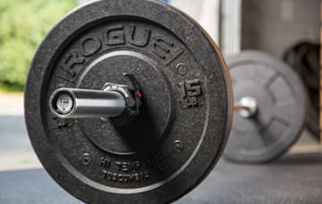 Compatible with Most Standard Bumper Plates