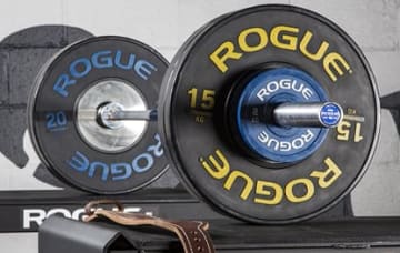 A New Addition to Your Rogue Arsenal