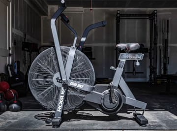Echo Bike