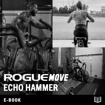 Rogue Move - Echo Hammer (eBook)