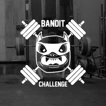 The Bandit Challenge