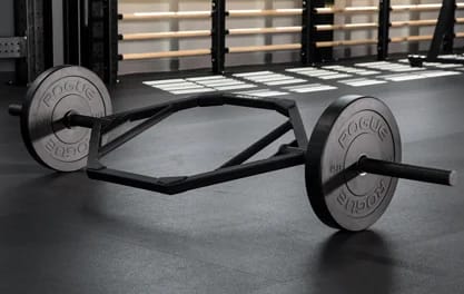 Rogue MIL Spec Echo Bumper Rogue Fitness