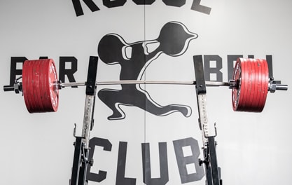 Rogue fitness shop squat bar