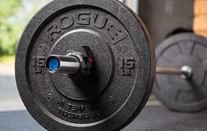 Rogue fitness best sale weights for sale