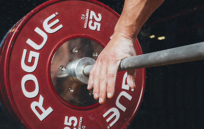 Rogue echo on sale bar weight