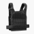 Rogue Plate Carrier - MOLLE