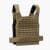 Rogue Plate Carrier - MOLLE