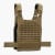 Rogue Plate Carrier - MOLLE