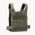 Rogue Plate Carrier - MOLLE
