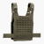 Rogue Plate Carrier - MOLLE