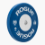 Rogue Color KG Training 2.0 Plates (IWF)