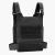 Rogue Plate Carrier