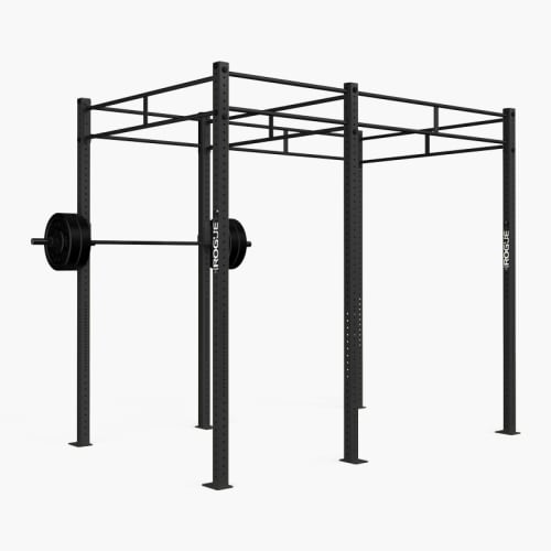 Rigs Rogue Fitness