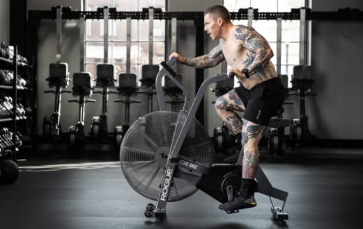 Rogue Echo Bike