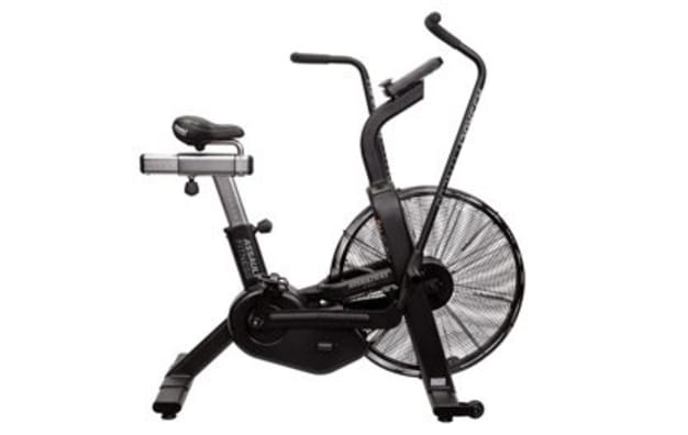 assault air bike pro