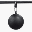 Rogue 12" Pull-up Globe