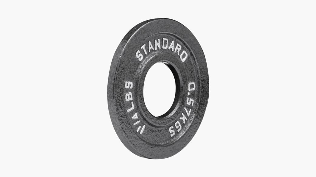 Fitness gear 45 pound plate sale