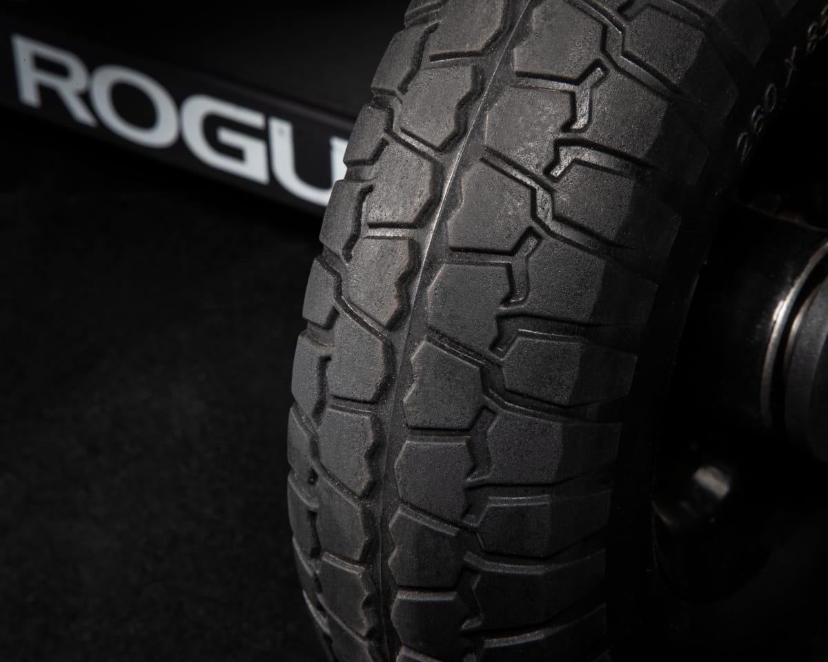 Echo Bike con turf tires