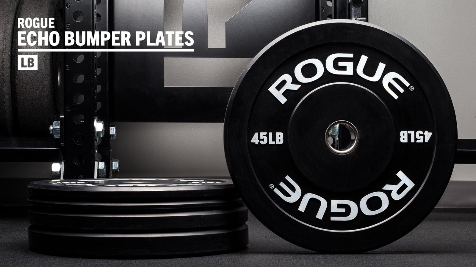 Rogue Echo Bumper Plates