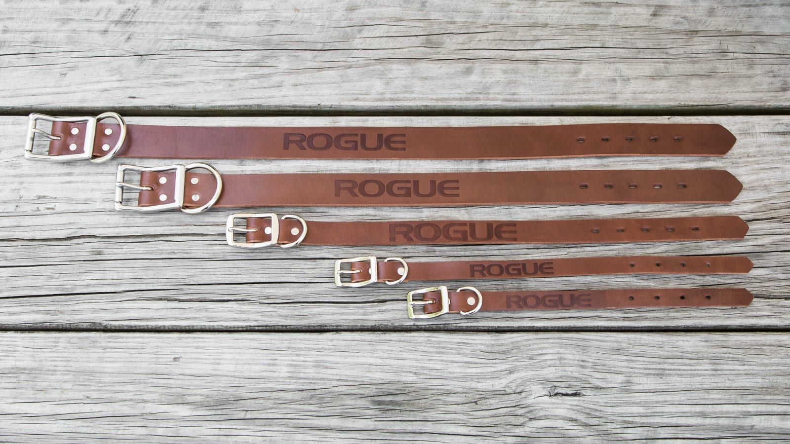 Rogue Leather Dog Leash