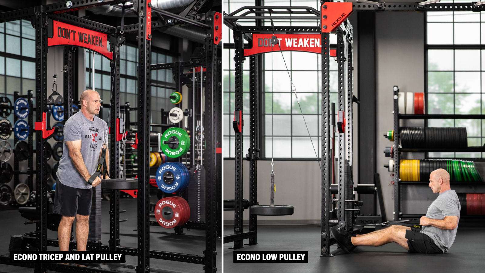 Rogue Individual Pullup System - Bodyweight Training - CrossFit