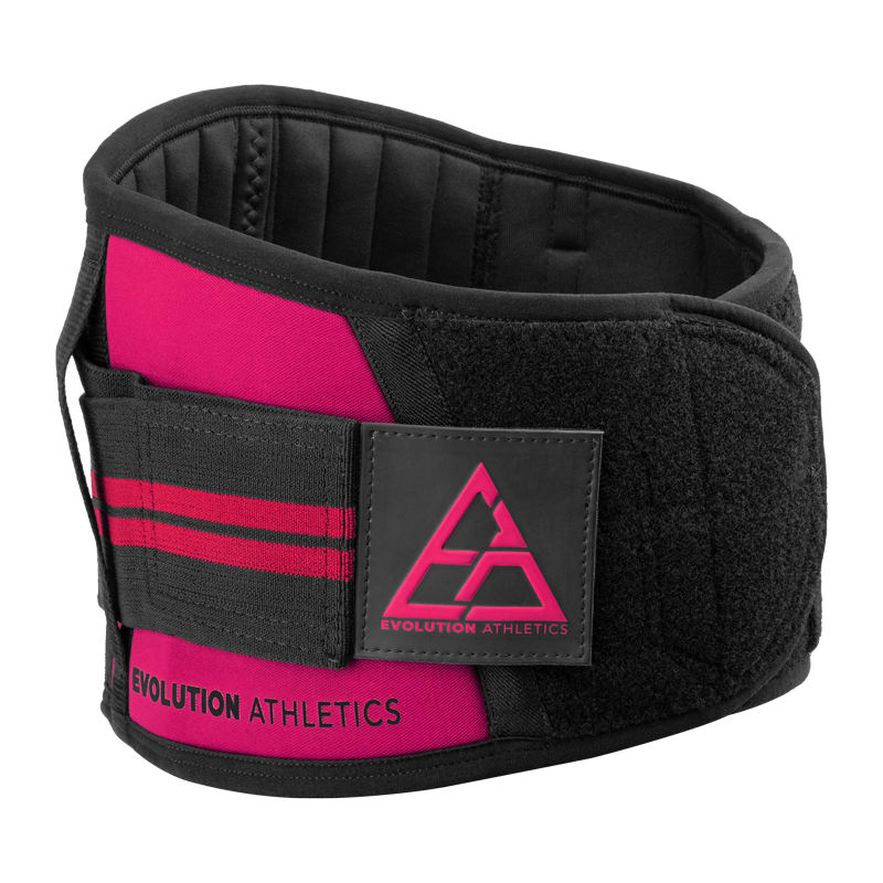 Evolution EA Sport Belt Rogue Fitness