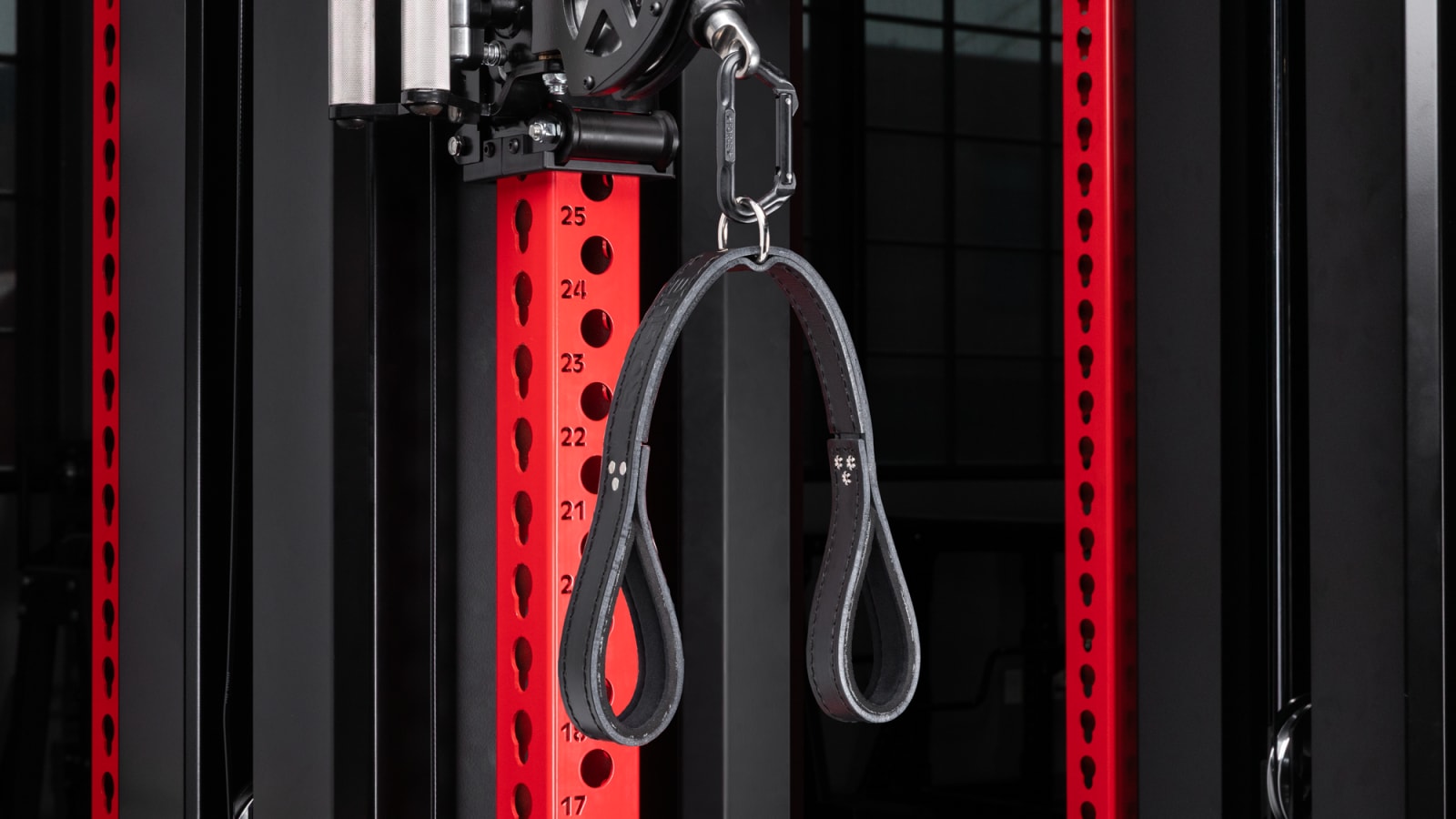 Rogue Leather Tricep Straps