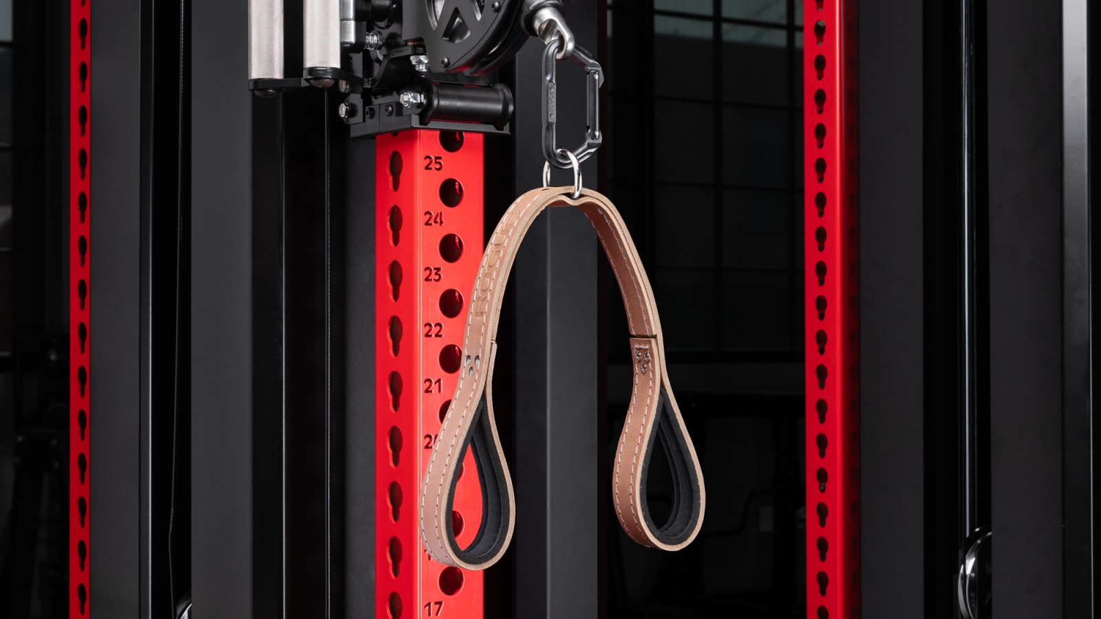 Leather Tricep Straps - 25"- Treated