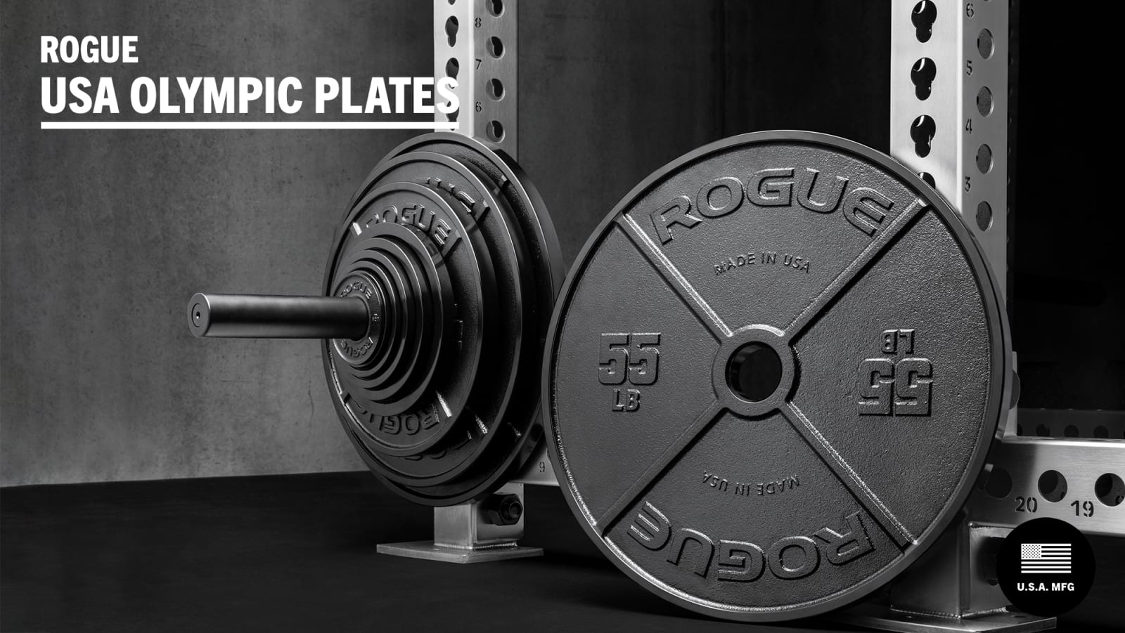Rogue Fitness Deep Dish Olympic Weight Plates Barbell USA Details about  / Pair 45 lbs 90lbs