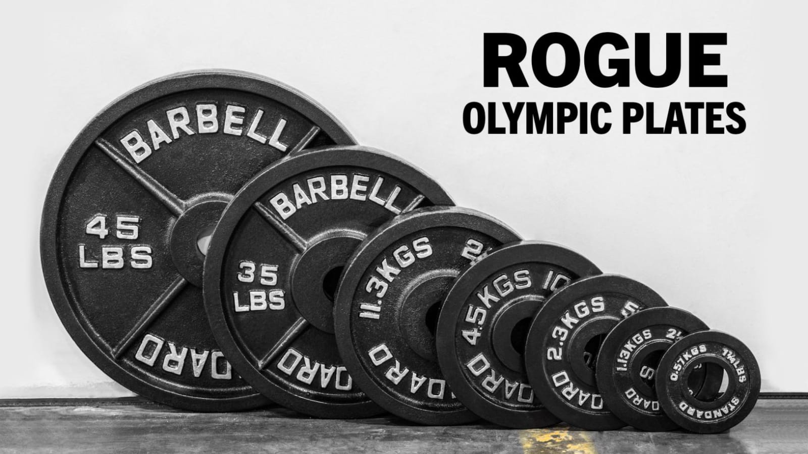 PAIR of 25LB OLYMPIC WEIGHT PLATE ROGUE FITNESS STANDARD 2” PLATE 50 LBS TOTAL 
